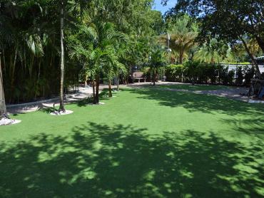 Artificial Grass Photos: Lawn Services Mead, Washington Lawn And Garden, Commercial Landscape