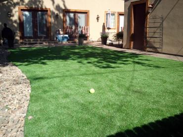 Artificial Grass Photos: Lawn Services Meadow Glade, Washington Roof Top, Backyard Landscaping Ideas