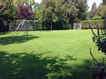 Artificial Grass Photos: Lawn Services Medical Lake, Washington Softball, Backyards