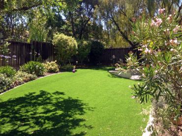 Artificial Grass Photos: Lawn Services Prairie Ridge, Washington Roof Top, Small Backyard Ideas