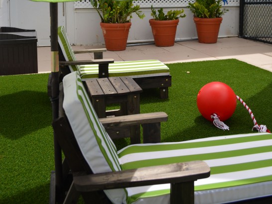 Artificial Grass Photos: Lawn Services Riverton, Washington Backyard Playground, Patio