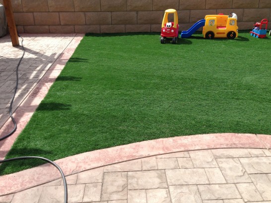 Artificial Grass Photos: Lawn Services Rosedale, Washington Lacrosse Playground, Backyard Landscaping Ideas