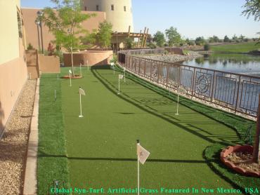 Artificial Grass Photos: Lawn Services Vancouver, Washington Diy Putting Green, Small Backyard Ideas