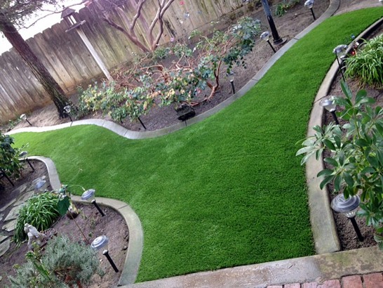 Artificial Grass Photos: Outdoor Carpet Alderwood Manor, Washington Landscape Design, Backyard Garden Ideas