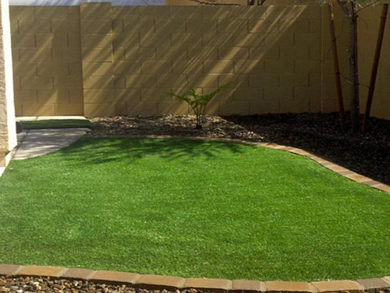 Artificial Grass Photos: Outdoor Carpet Auburn, Washington Landscaping, Backyard Makeover