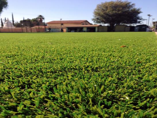 Artificial Grass Photos: Outdoor Carpet Barstow, Washington City Landscape