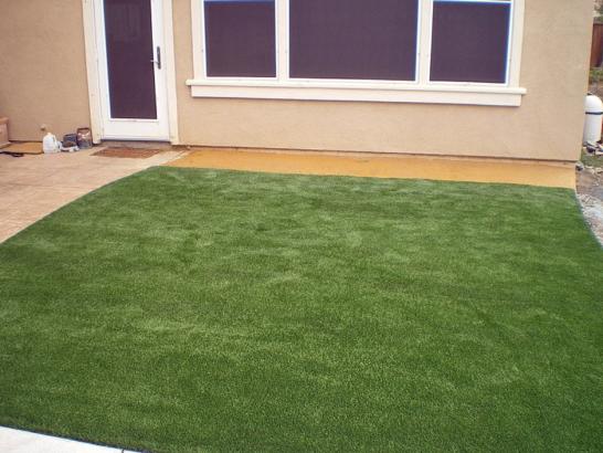 Artificial Grass Photos: Outdoor Carpet Bothell, Washington Landscape Photos, Backyard Garden Ideas