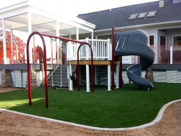 Artificial Grass Photos: Outdoor Carpet Burlington, Washington Lacrosse Playground, Backyards