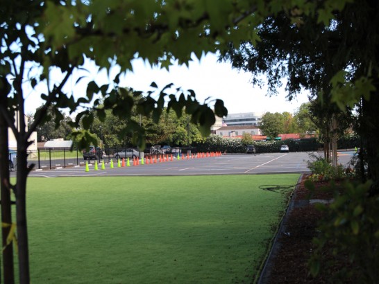 Artificial Grass Photos: Outdoor Carpet Clarkston, Washington Athletic Playground, Commercial Landscape