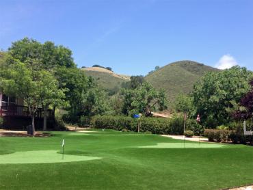 Artificial Grass Photos: Outdoor Carpet Clarkston, Washington Outdoor Putting Green, Front Yard