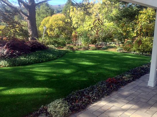 Artificial Grass Photos: Outdoor Carpet Cusick, Washington Home And Garden, Backyard Makeover