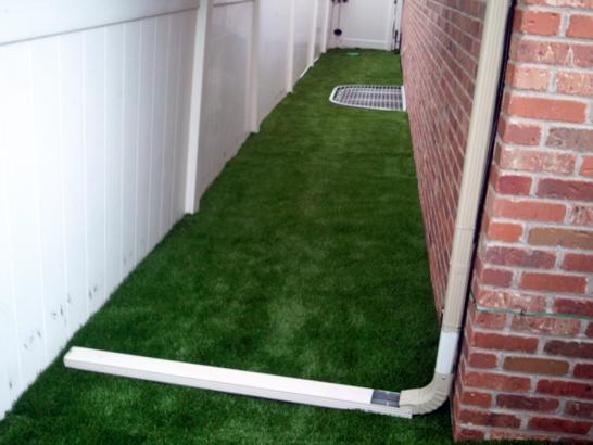 Artificial Grass Photos: Outdoor Carpet Ione, Washington Home And Garden, Backyard Designs