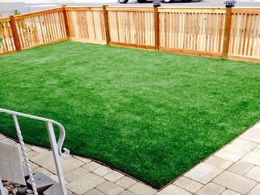 Artificial Grass Photos: Outdoor Carpet Kittitas, Washington Roof Top, Backyard Designs