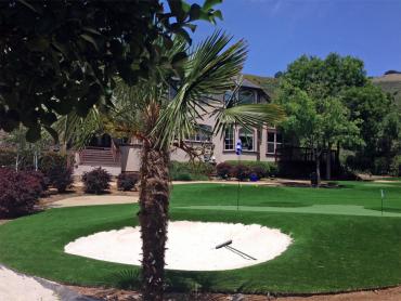 Artificial Grass Photos: Outdoor Carpet Moses Lake, Washington Putting Green Turf, Front Yard Ideas