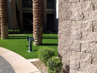 Artificial Grass Photos: Outdoor Carpet Naches, Washington Home And Garden, Commercial Landscape