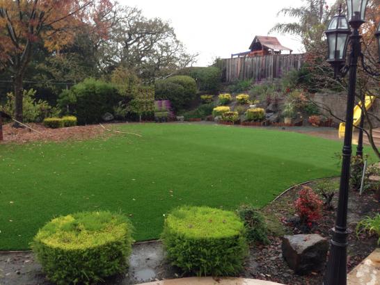 Artificial Grass Photos: Outdoor Carpet Outlook, Washington Gardeners, Backyard Landscaping