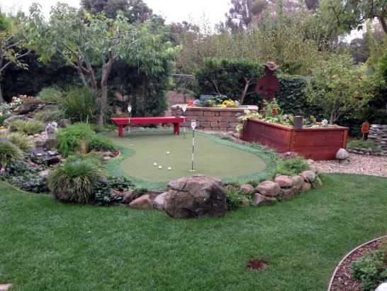 Artificial Grass Photos: Outdoor Carpet Pacific Beach, Washington Diy Putting Green, Backyards