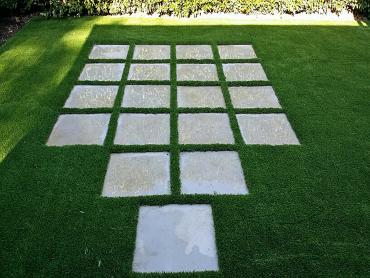 Artificial Grass Photos: Outdoor Carpet Satus, Washington Lawn And Landscape, Small Backyard Ideas