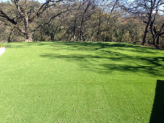 Artificial Grass Photos: Outdoor Carpet Snohomish, Washington Rooftop, Parks