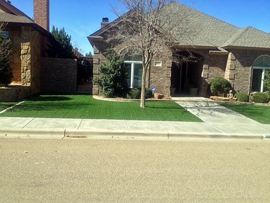 Artificial Grass Photos: Outdoor Carpet Thorp, Washington Landscape Design, Front Yard Design