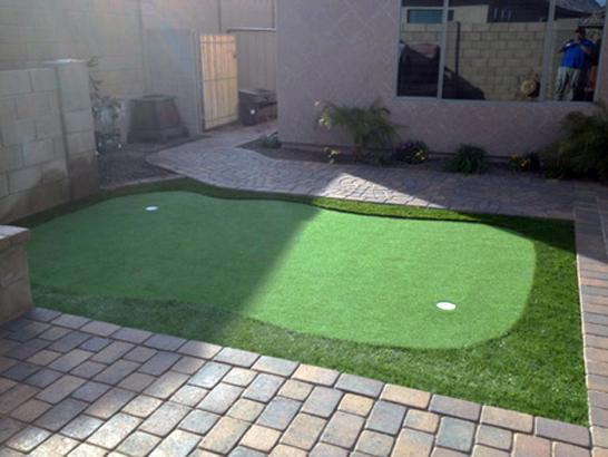 Artificial Grass Photos: Outdoor Carpet University Place, Washington Landscape Ideas, Backyard Landscape Ideas