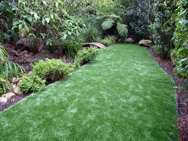 Artificial Grass Photos: Outdoor Carpet Weallup Lake, Washington Gardeners, Backyard Design