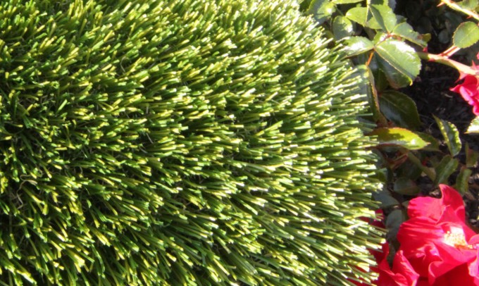 V Blade-64 syntheticgrass Artificial Grass Washington