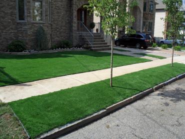 Artificial Grass Photos: Plastic Grass Benton City, Washington Landscape Ideas, Front Yard Ideas