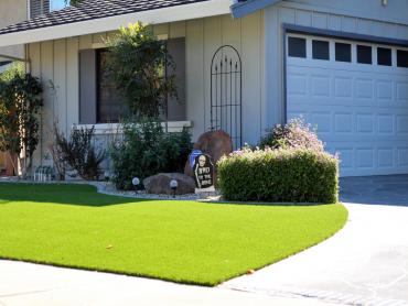 Artificial Grass Photos: Plastic Grass Brady, Washington Paver Patio, Front Yard Design