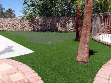 Artificial Grass Photos: Plastic Grass Buena, Washington Putting Green Turf, Backyard Landscaping Ideas