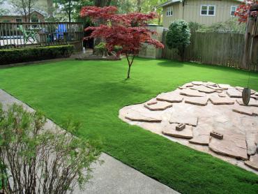 Artificial Grass Photos: Plastic Grass Cascade Valley, Washington Lawns, Backyard