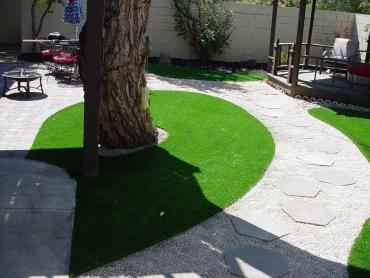 Artificial Grass Photos: Plastic Grass Clearview, Washington Lawns, Backyard Ideas