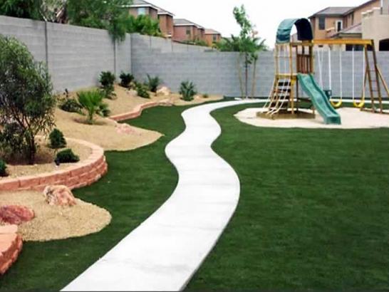 Artificial Grass Photos: Plastic Grass Donald, Washington Lawns, Backyard Landscaping Ideas