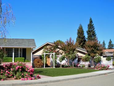 Artificial Grass Photos: Plastic Grass East Cathlamet, Washington Home And Garden, Front Yard Landscaping