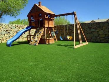 Artificial Grass Photos: Plastic Grass Fern Prairie, Washington Gardeners, Backyard Landscaping