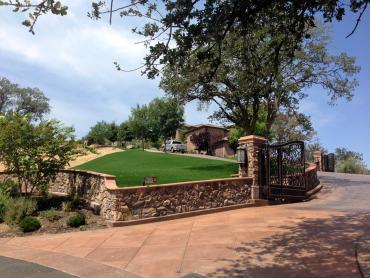 Artificial Grass Photos: Plastic Grass Four Lakes, Washington Roof Top, Front Yard Design