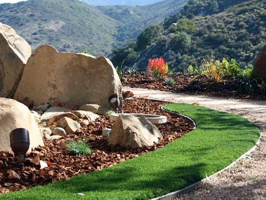 Artificial Grass Photos: Plastic Grass Lakeland North, Washington Landscaping, Front Yard Landscape Ideas