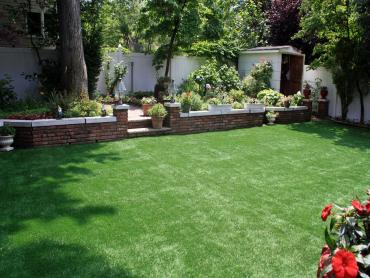 Plastic Grass Meadowdale, Washington Home And Garden, Backyard Makeover artificial grass