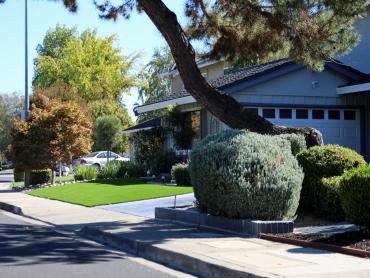 Artificial Grass Photos: Plastic Grass Mossyrock, Washington Landscaping, Front Yard Landscaping