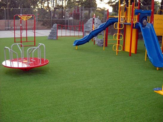 Artificial Grass Photos: Plastic Grass Packwood, Washington Landscape Design, Recreational Areas