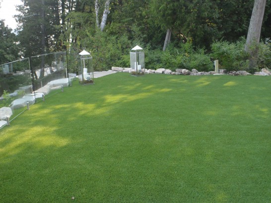 Artificial Grass Photos: Plastic Grass Port Hadlock-Irondale, Washington Rooftop, Backyard Design