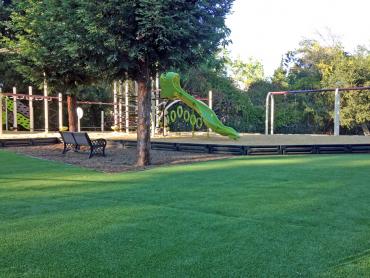 Artificial Grass Photos: Plastic Grass Union Gap, Washington Landscaping Business, Recreational Areas