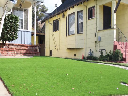 Artificial Grass Photos: Plastic Grass West Lake Sammamish, Washington Landscape Ideas, Front Yard