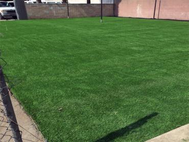 Artificial Grass Photos: Synthetic Grass Bryant, Washington Sports Turf