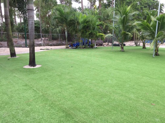 Artificial Grass Photos: Synthetic Grass Buckley, Washington Home And Garden, Commercial Landscape