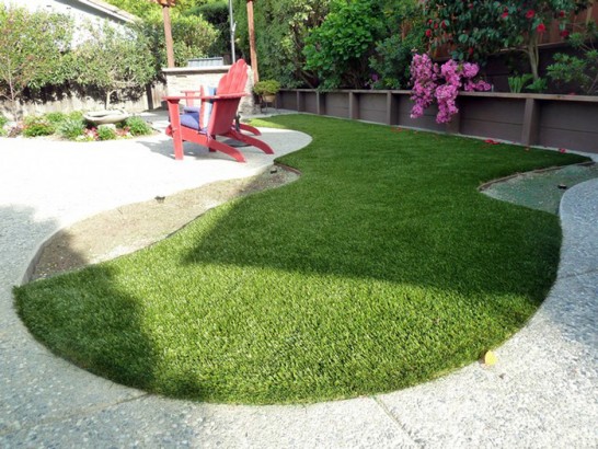 Artificial Grass Photos: Synthetic Grass Clarkston Heights-Vineland, Washington Dog Parks, Backyard Designs