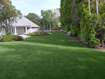 Artificial Grass Photos: Synthetic Grass Cost Amboy, Washington Drainage, Front Yard Design