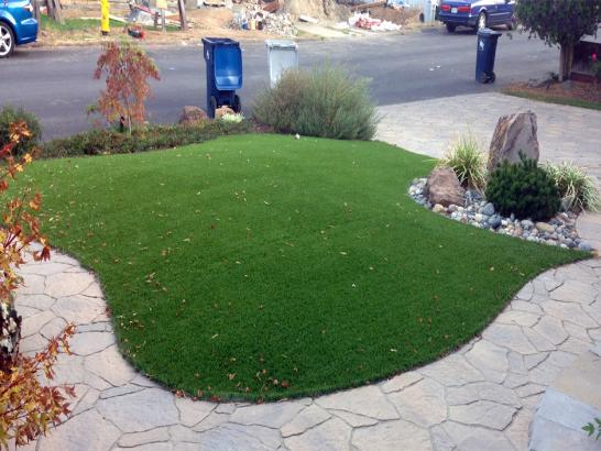 Artificial Grass Photos: Synthetic Grass Cost Bickleton, Washington Lawn And Landscape