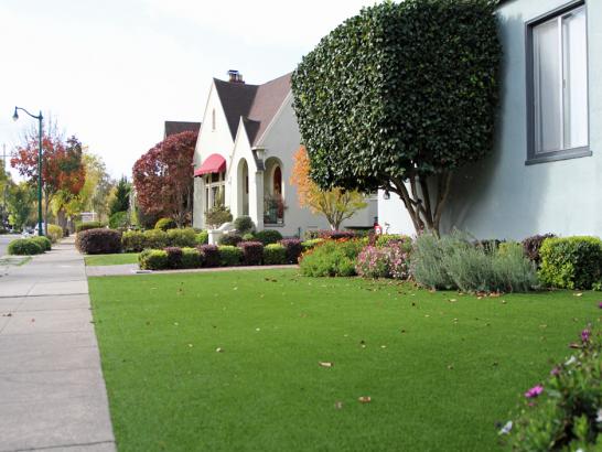Artificial Grass Photos: Synthetic Grass Cost Des Moines, Washington Landscaping Business, Front Yard Landscape Ideas