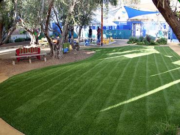 Artificial Grass Photos: Synthetic Grass Cost Electric City, Washington Landscape Ideas, Commercial Landscape